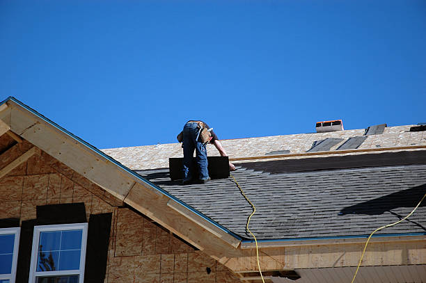 Roof Moss and Algae Removal in Morgans Point Resort, TX