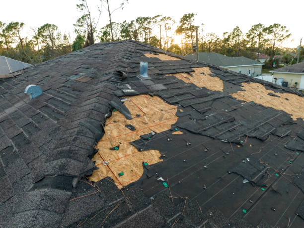 Best Roof Leak Repair  in Morgans Point Resort, TX